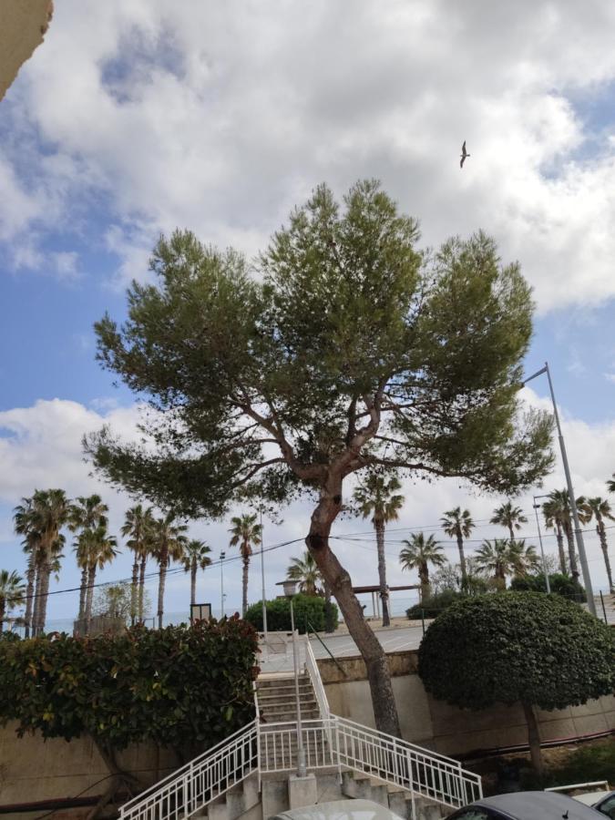 Apartamento Mare Nostrum Playa Arrabassada タラゴナ エクステリア 写真